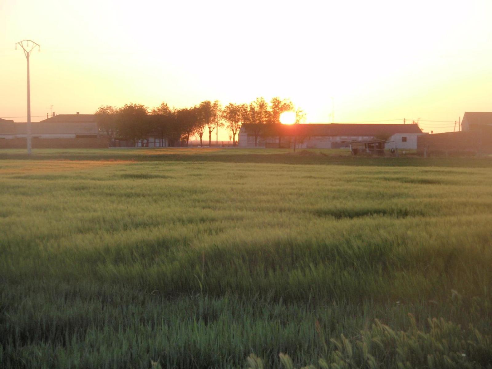 Casa Rural La Sastreria De Adanero Esterno foto